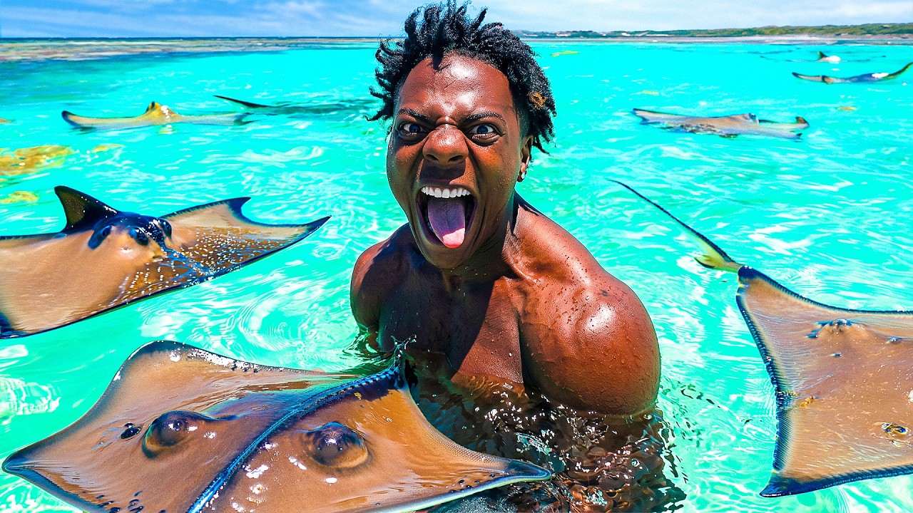 irl stream in Antigua and Barbuda 🇦🇬