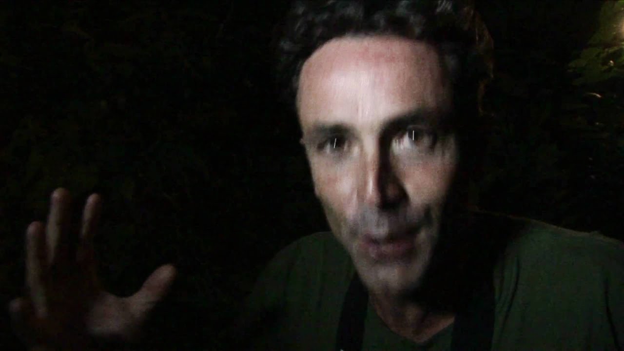 Jamaican Owl.mpeg