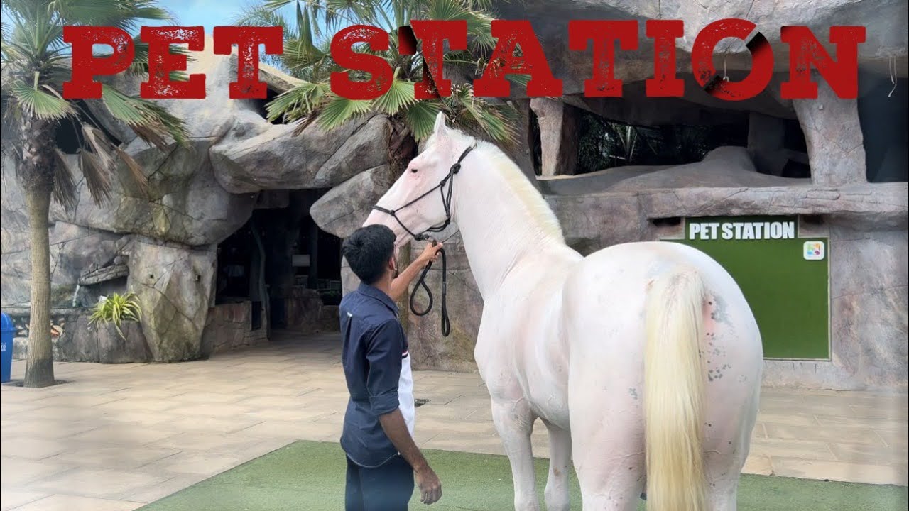 കണ്ണൂർ പെറ്റസ്&zwnj;റ്റേഷനിലെ കാഴ്ചകൾ | kaveri | shimil