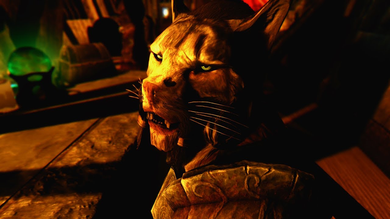 5 Mods Skyrim de qu&ecirc;tes doubl&eacute;s en Fran&ccedil;ais [FR]