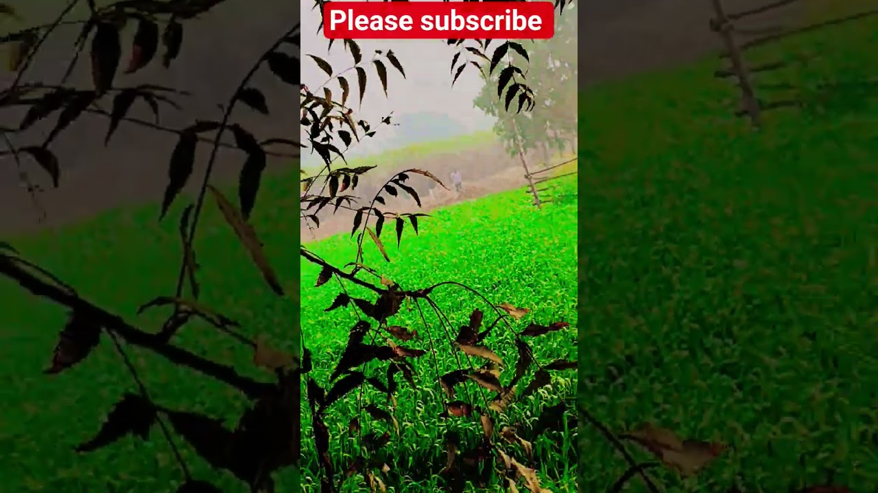 please subscribe 🙏 hai Update ka matalab hindi me