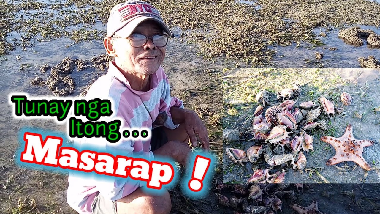 Tunay ngang nakaka Enjoy sa Panginginhas 🐚💦 dito sa PALAWAN 💗| Jordan River TV #saang #PalawanIsland