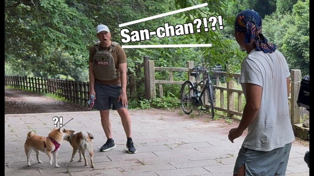 We Met a Follower in Kyoto… and Ended Up Staying at His Place 🐕