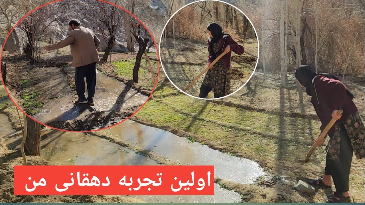 اولین روز دهقانی من با پدرم امسال کمی زودتر هوا گرم شد و کار های زمین شروع شد 