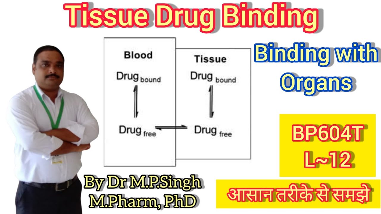Tissue Binding of Drugs | Biopharmaceutics & Pharmacokinetic | BP604T | L~12