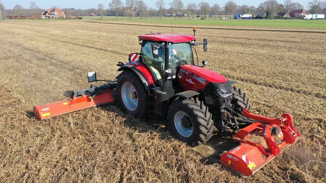 Vanggewas vernietigen: tips voor een optimale nalevering & mais bemesting | LG Seeds