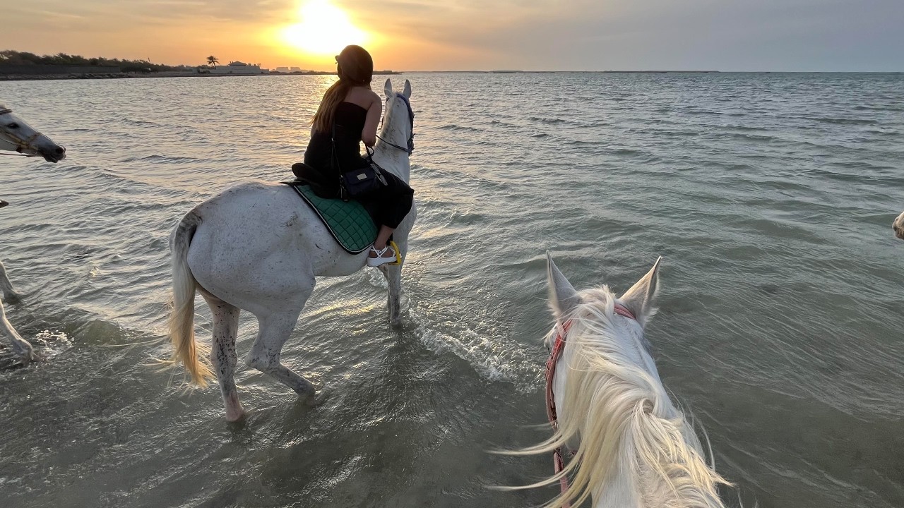 Horseback Ride on Karbabad Beach, Bahrain 🇧🇭