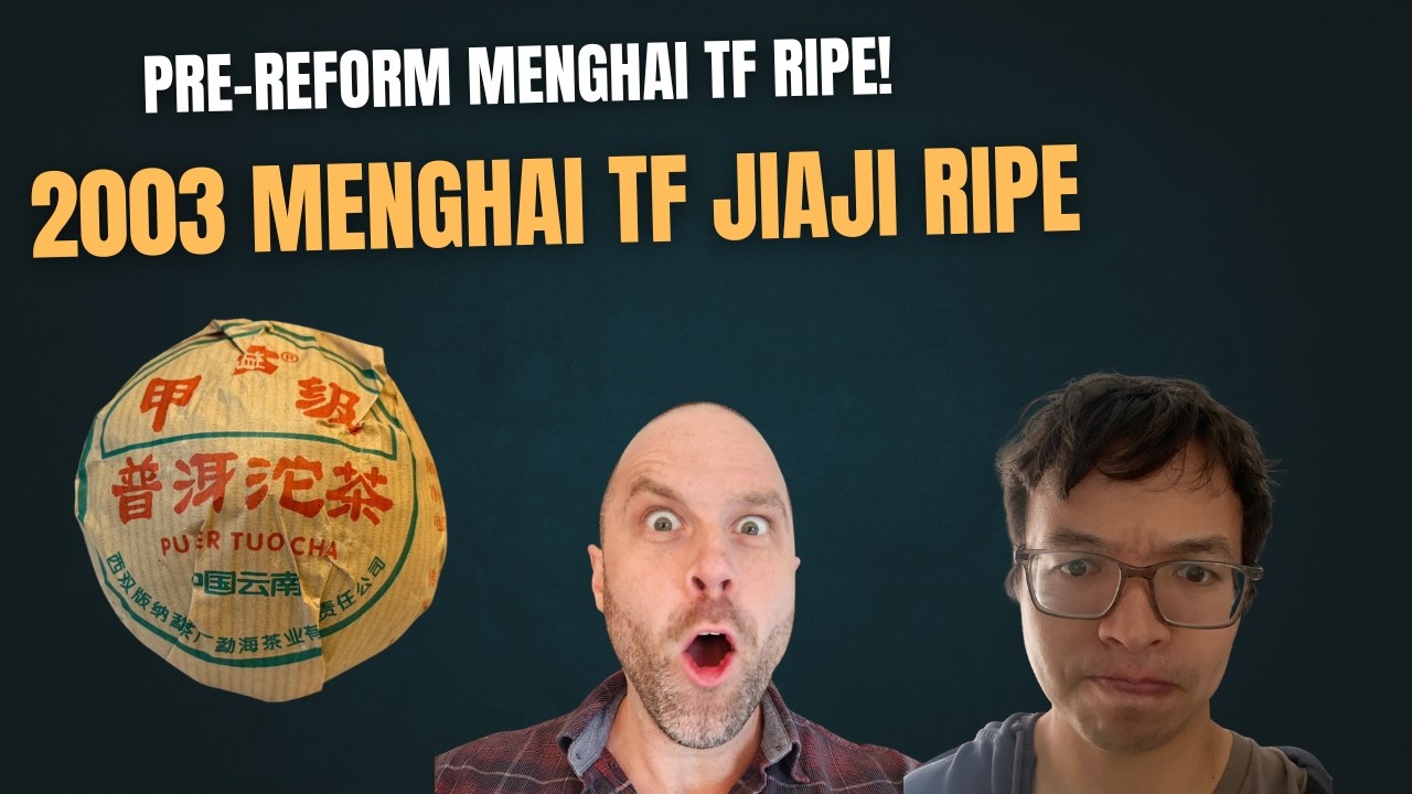 2003 Menghai Tea Factory Jiaji Ripe Tuo [Episode 583]
