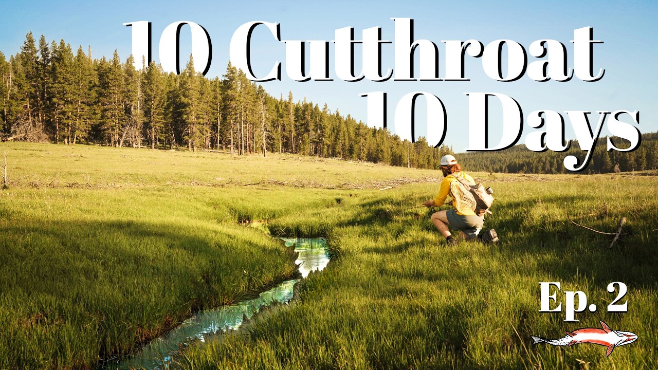 Fly Fishing Utah & Colorado For My Next THREE Subspecies