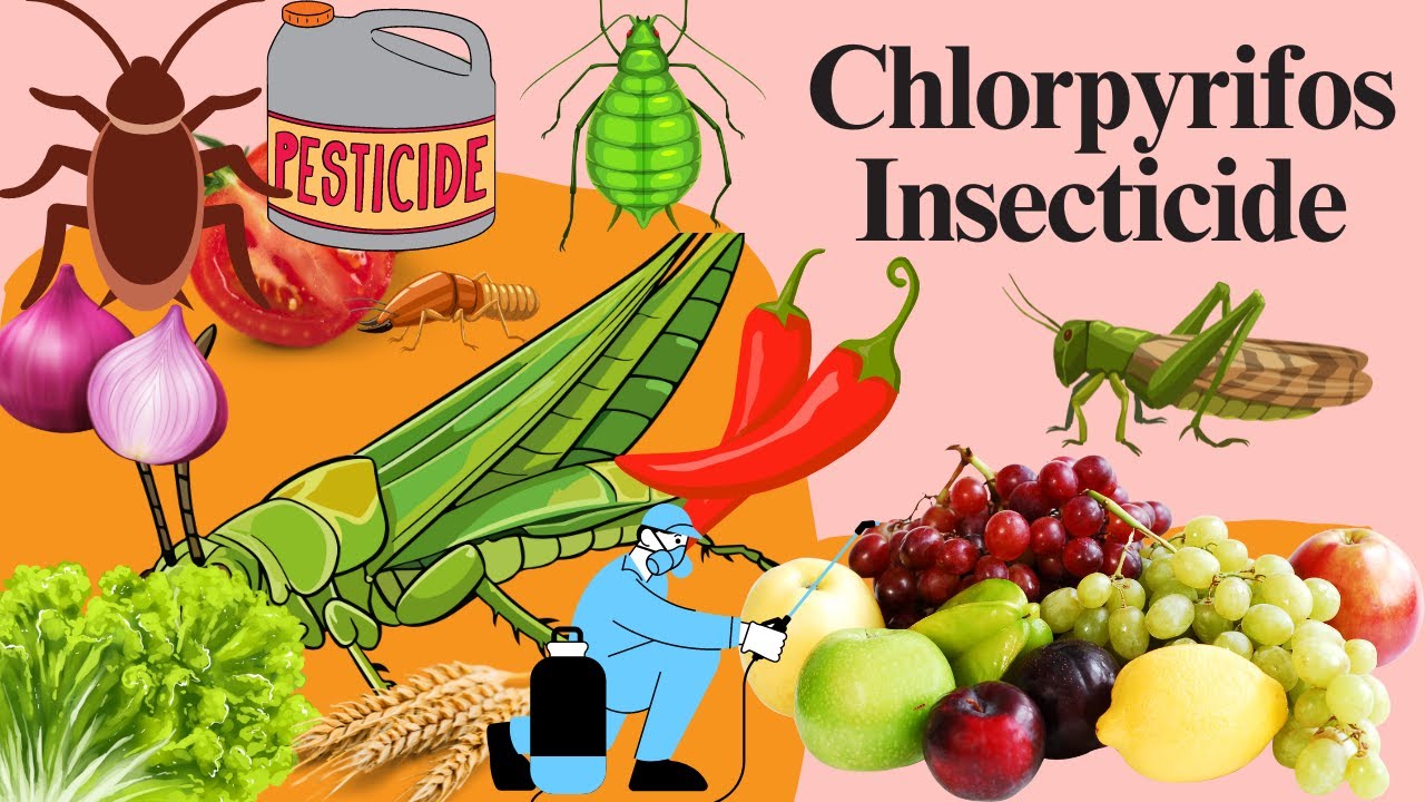 Chlorpyrifos: Chemistry, Mode of Action, Formulation, Uses, and Dosage