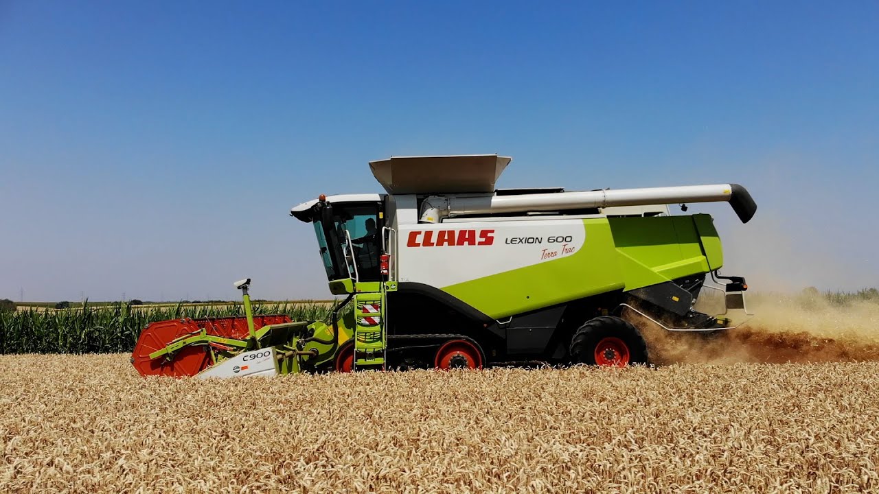 Wheat Harvest 2021 CLAAS LEXION 600 Tera Trac