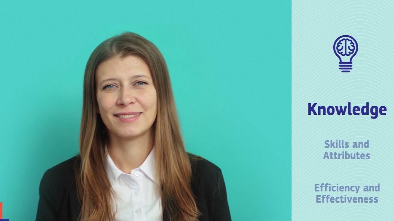 EU Tax and Customs Competency Frameworks