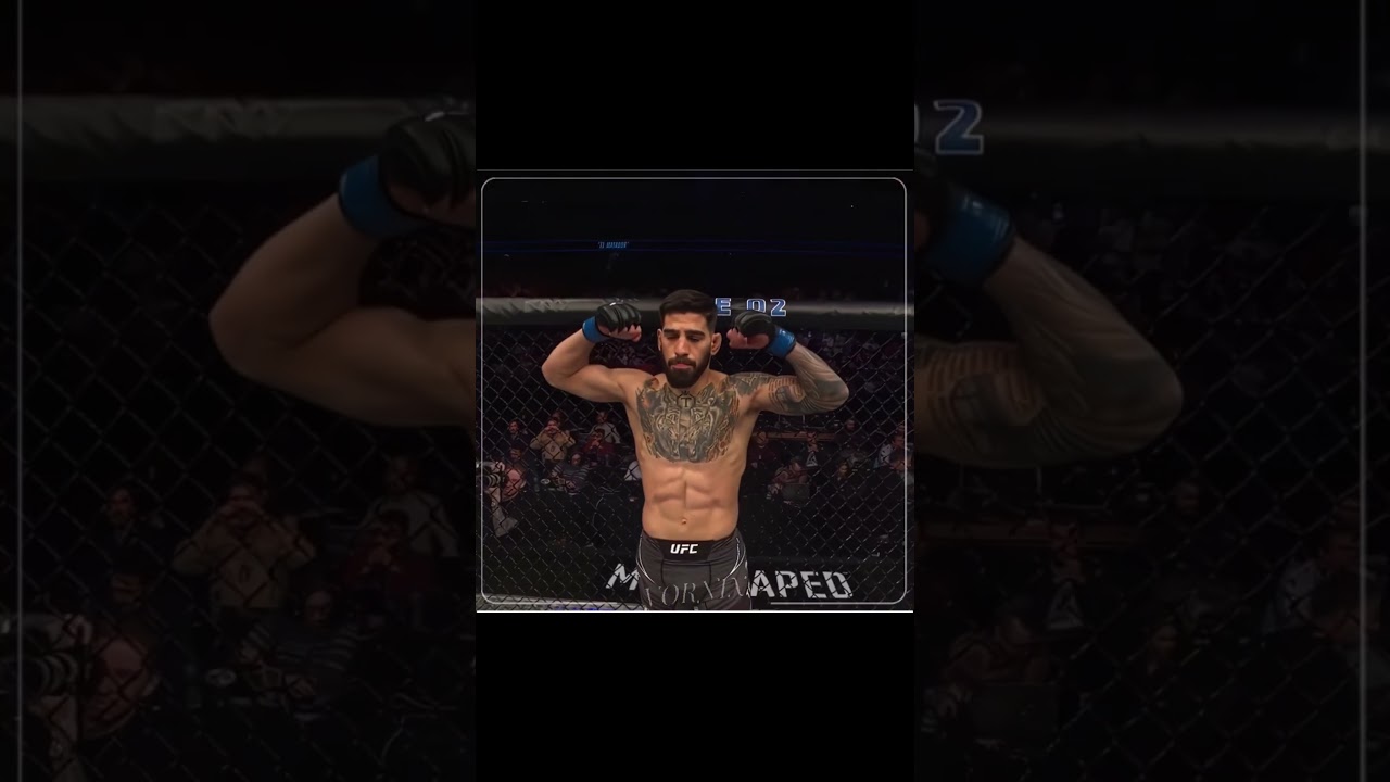 Best Georgian Fighter Right Now #fight #fighting #iliatopuria #mma #ufc #video#VornixMMA
