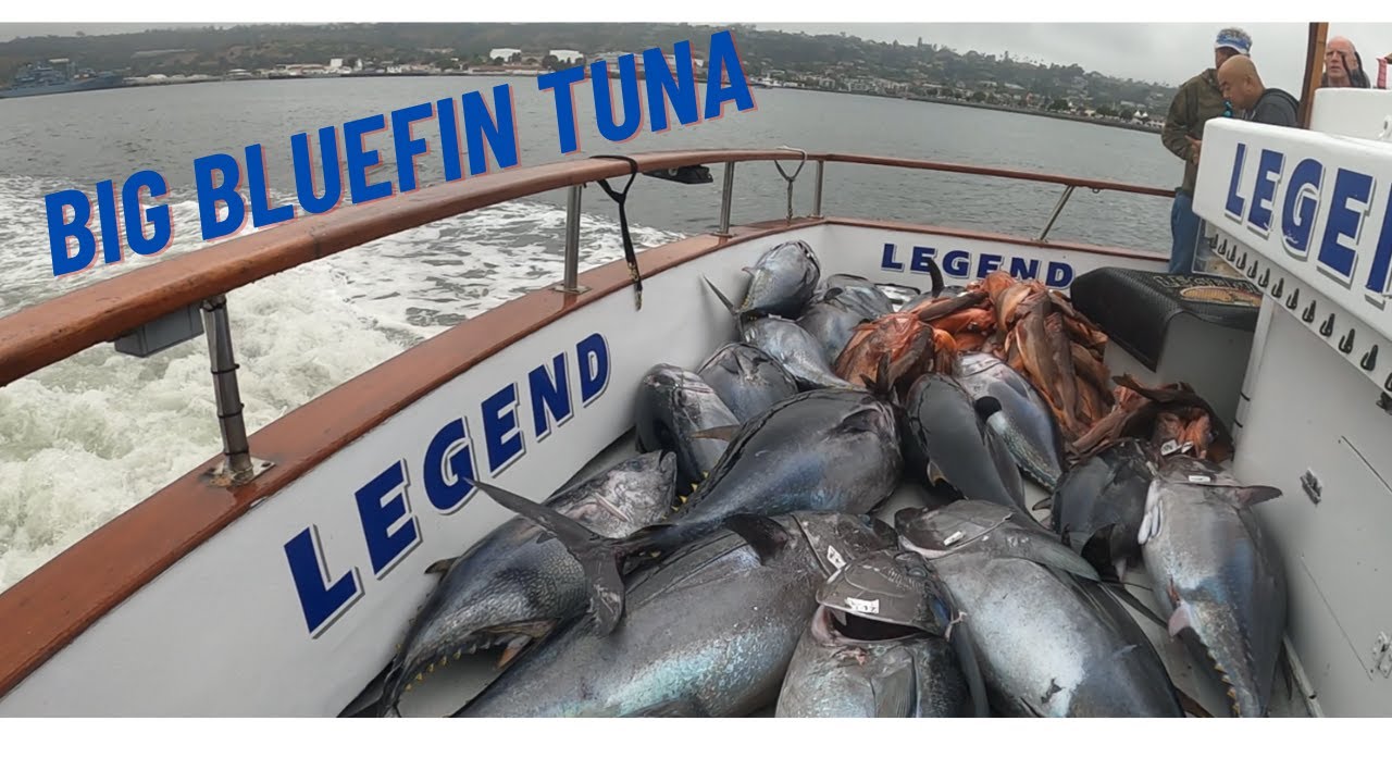 Big Bluefin Tuna Mayhem - Night Time Jig fishing - 2 Days on the Legend out of H&M Landing