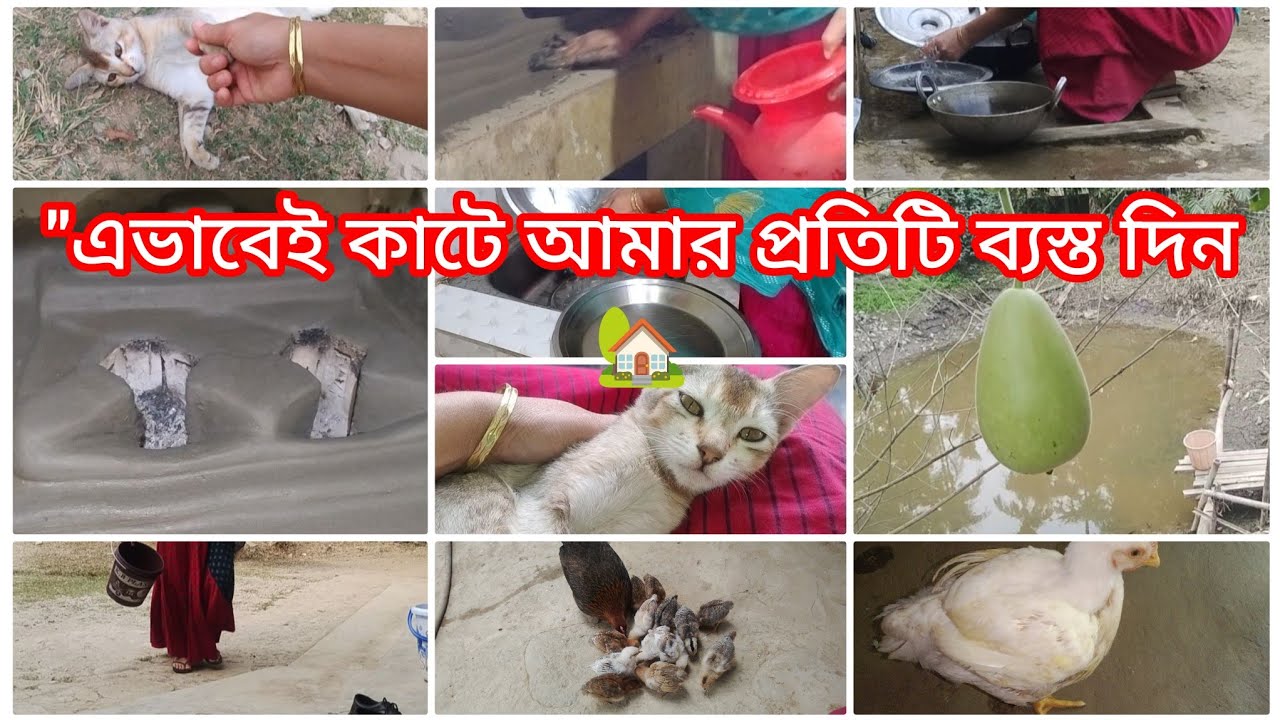 🇨🇮 এই রোজা মাসে গৃহিণীর ব্যস্ত জীবন ! সকাল থেকে বিকাল পর্যন্ত সারা দিনের কাজের রুটিন // #DailyVlog  