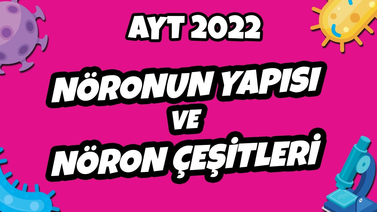 Nöronun Yapısı ve Nöron Çeşitleri | AYT Biyoloji 2022 #hedefekoş