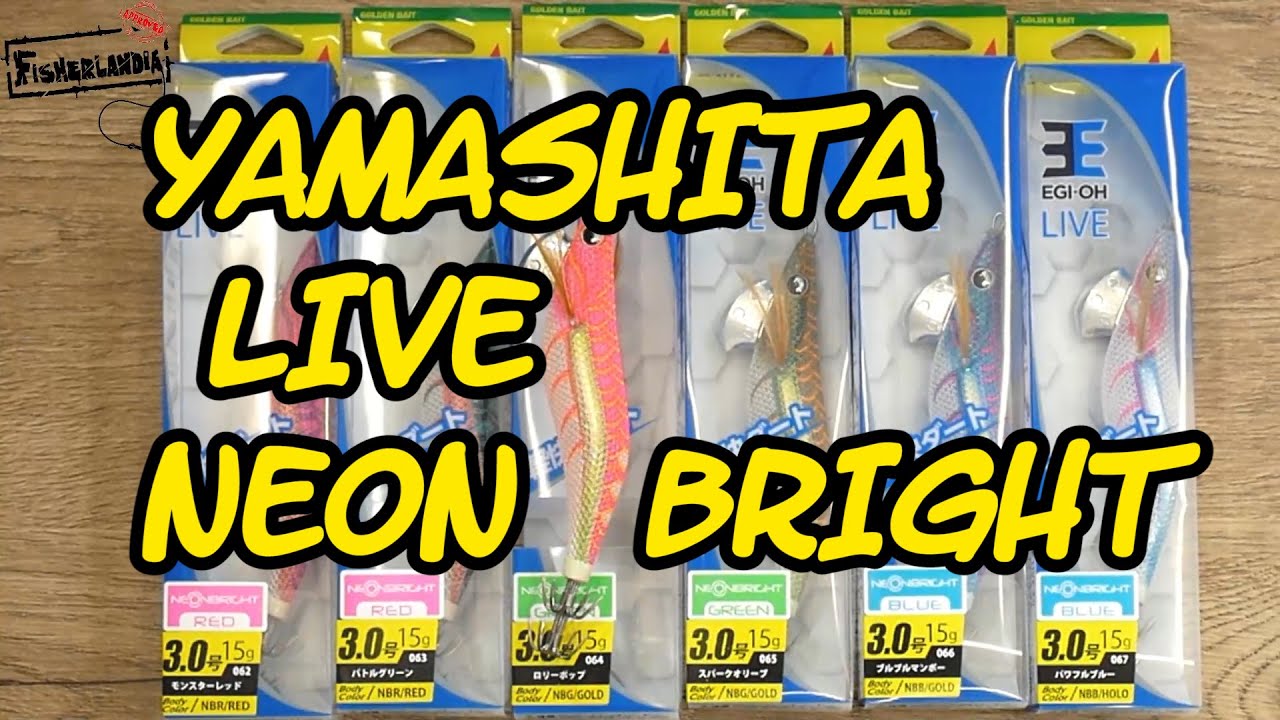YAMASHITA EGI OH LIVE NEON BRIGHT