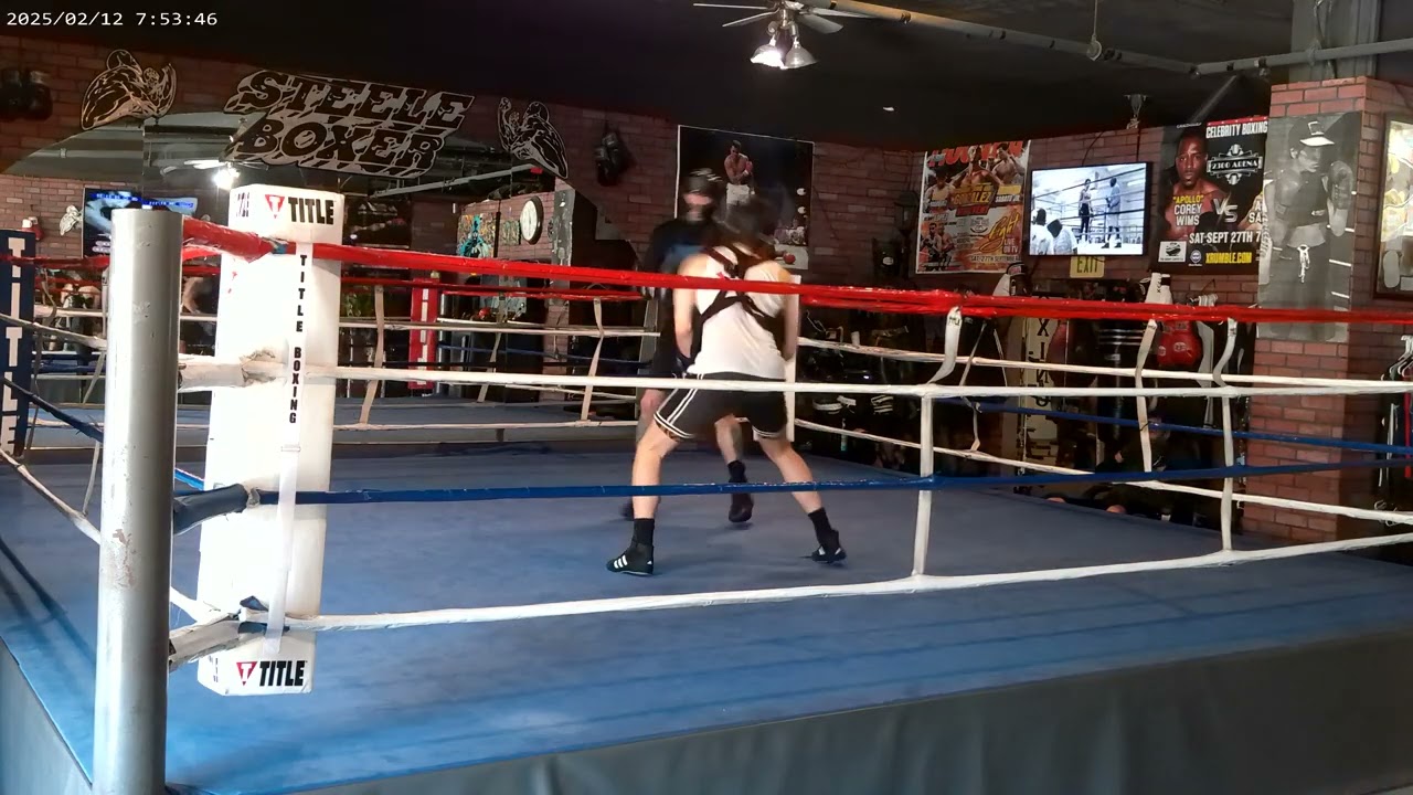 STEELEBOXER GYM ONLINE BOXING/KICKBOXING TRAINING PROGRAM www.steeleboxer.com