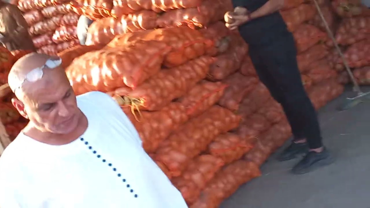 خبير  التسويق سيد بدر واسعار،البطاطس اليوم واخر   المستجدات 