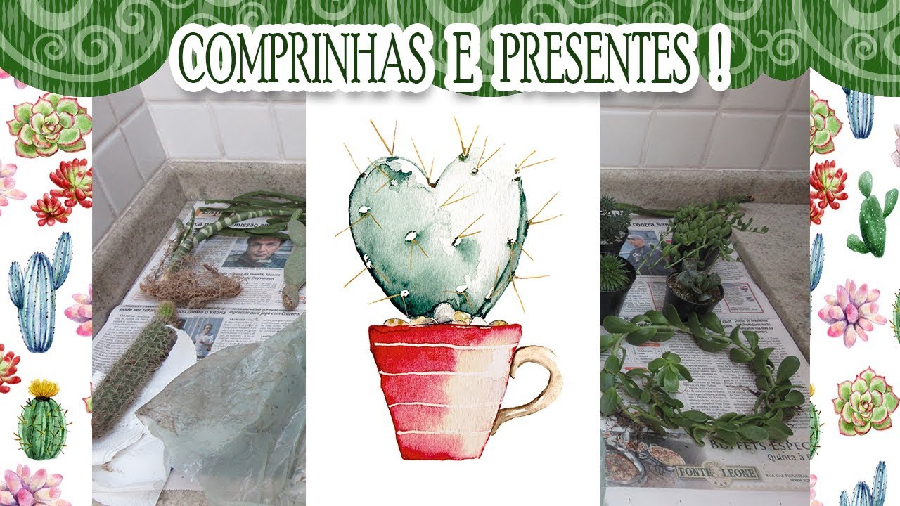 Vamos ver as plantas que comprei e ganhei?