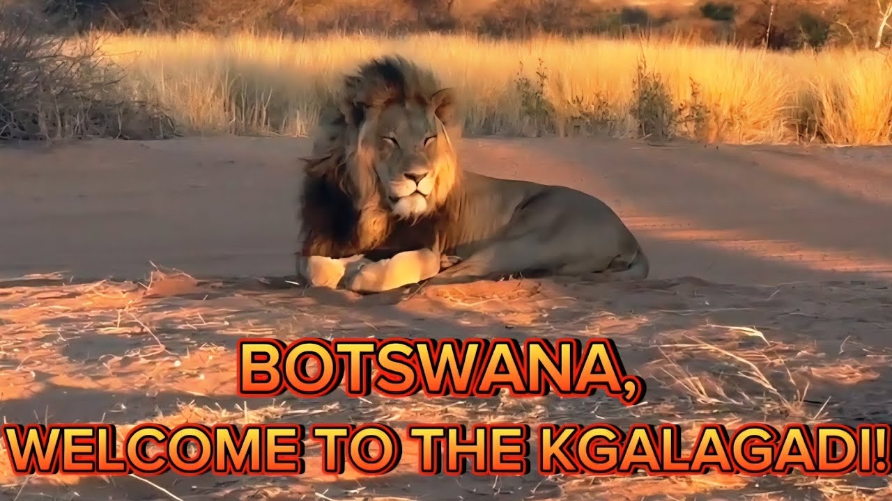 EP2 MABUASEHUBE KGALAGADI TRANSFRONTIER!
