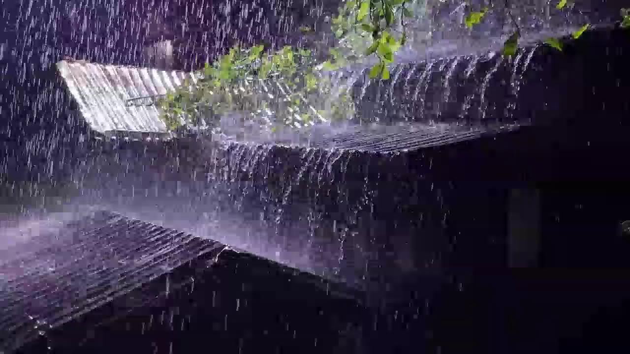 Night Thunderstorm Ambience 🌙 Heavy Rain on Metal Roof