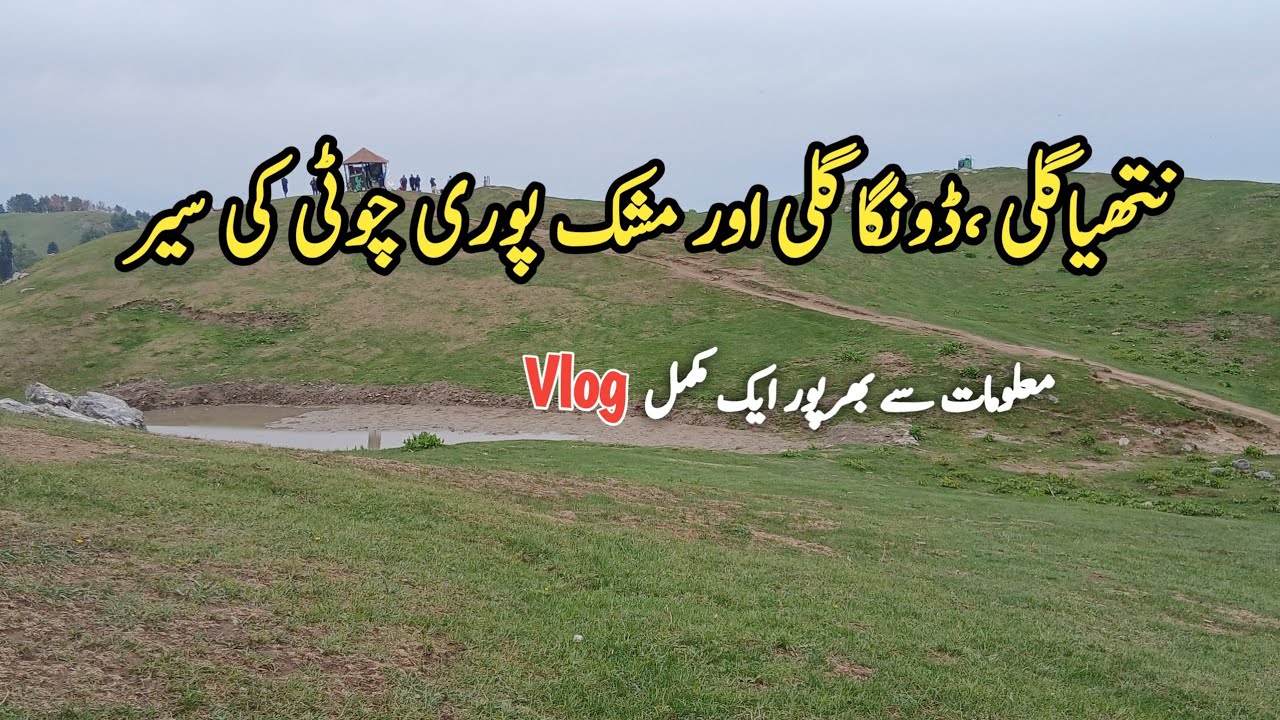 Nathia Gali, Dunga Gali,Mushkpuri Top| Beautiful Valleys|
