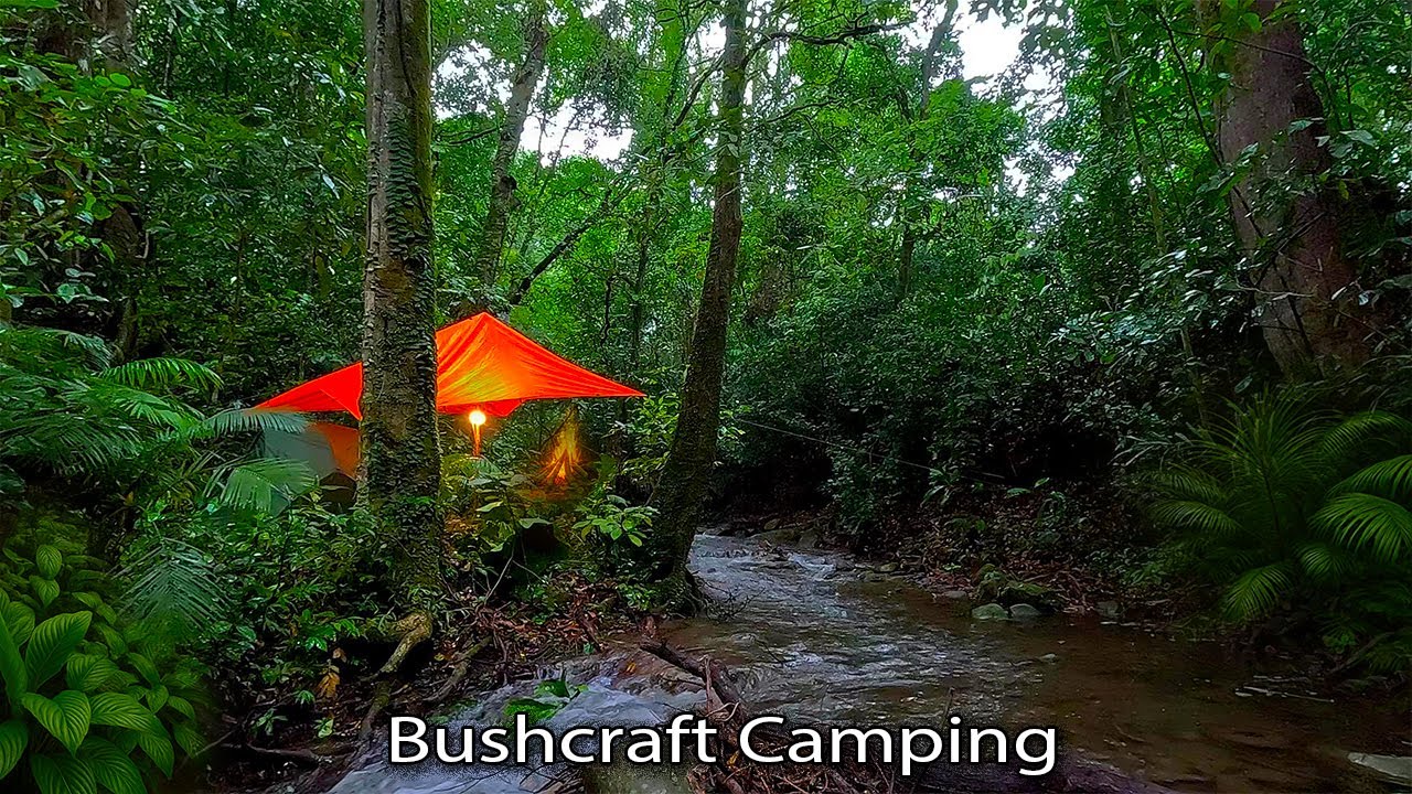 2 Hari Di Tengah Hutan Saat Hujan. Bermalam Di Pinggir Sungai dan Memasak Ayam Bakar. Bushcraft
