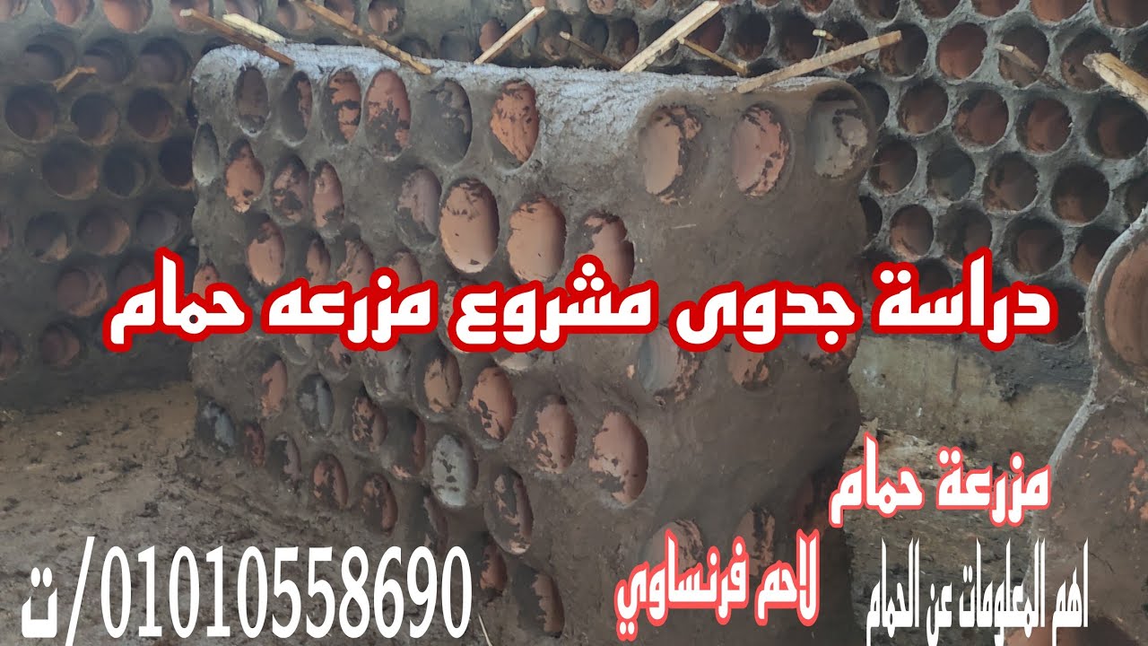كلام لازم تكون عارفه قبل ما تعمل مزرعة حمام؟؟؟ ابو مازن الفخراني 01147685247
