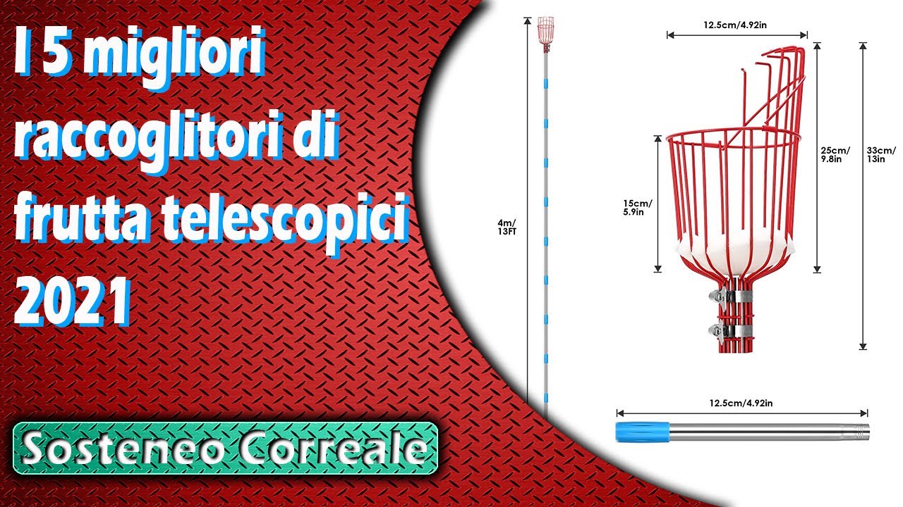 I 5 migliori raccoglitori di frutta telescopici 2021