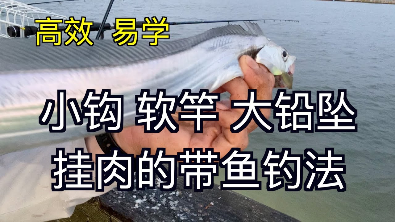 小钩*软竿*大铅坠 一种非常高效易学的带鱼钓法 Catching Ribbonfish off the Pier