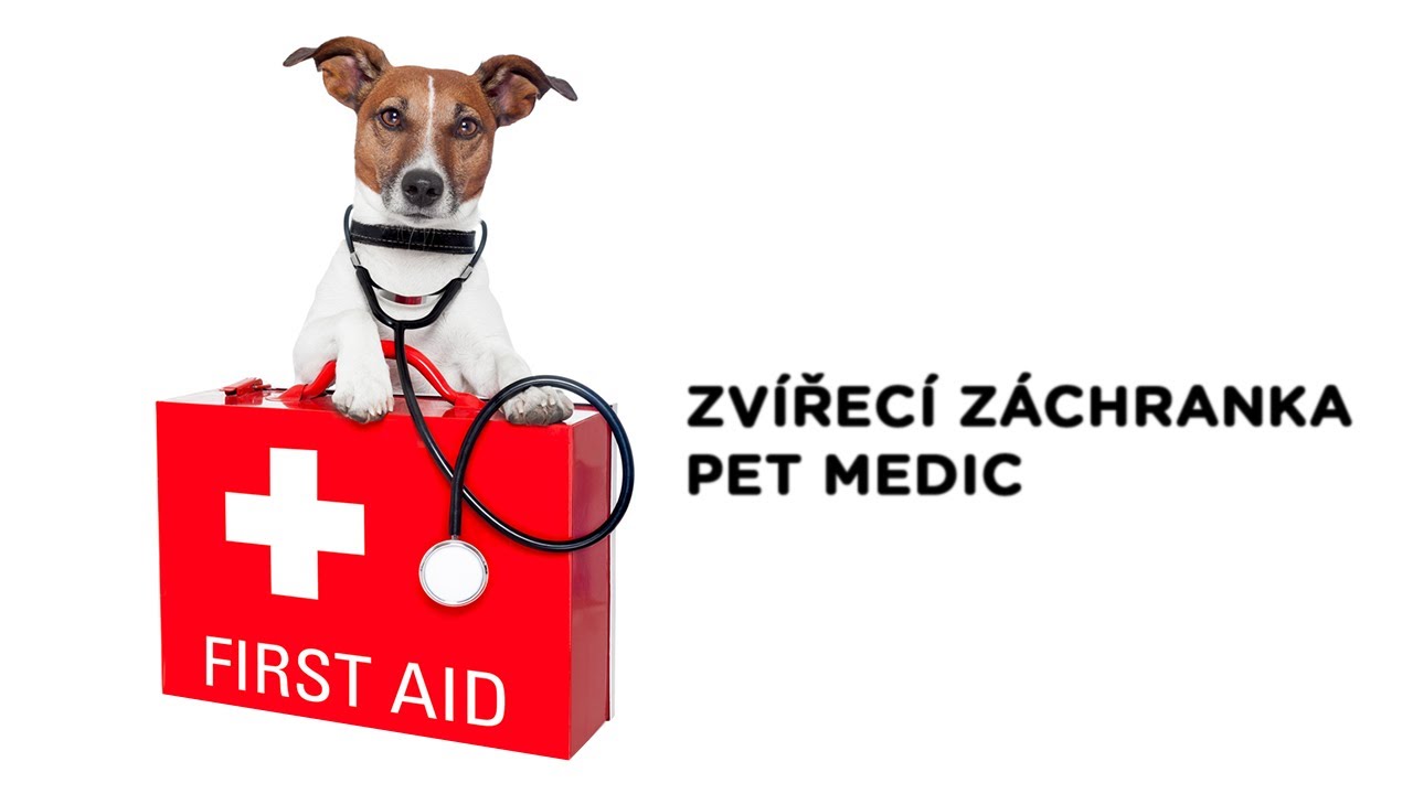 Zvířecí záchranka Pet Medic - Tlapka TV