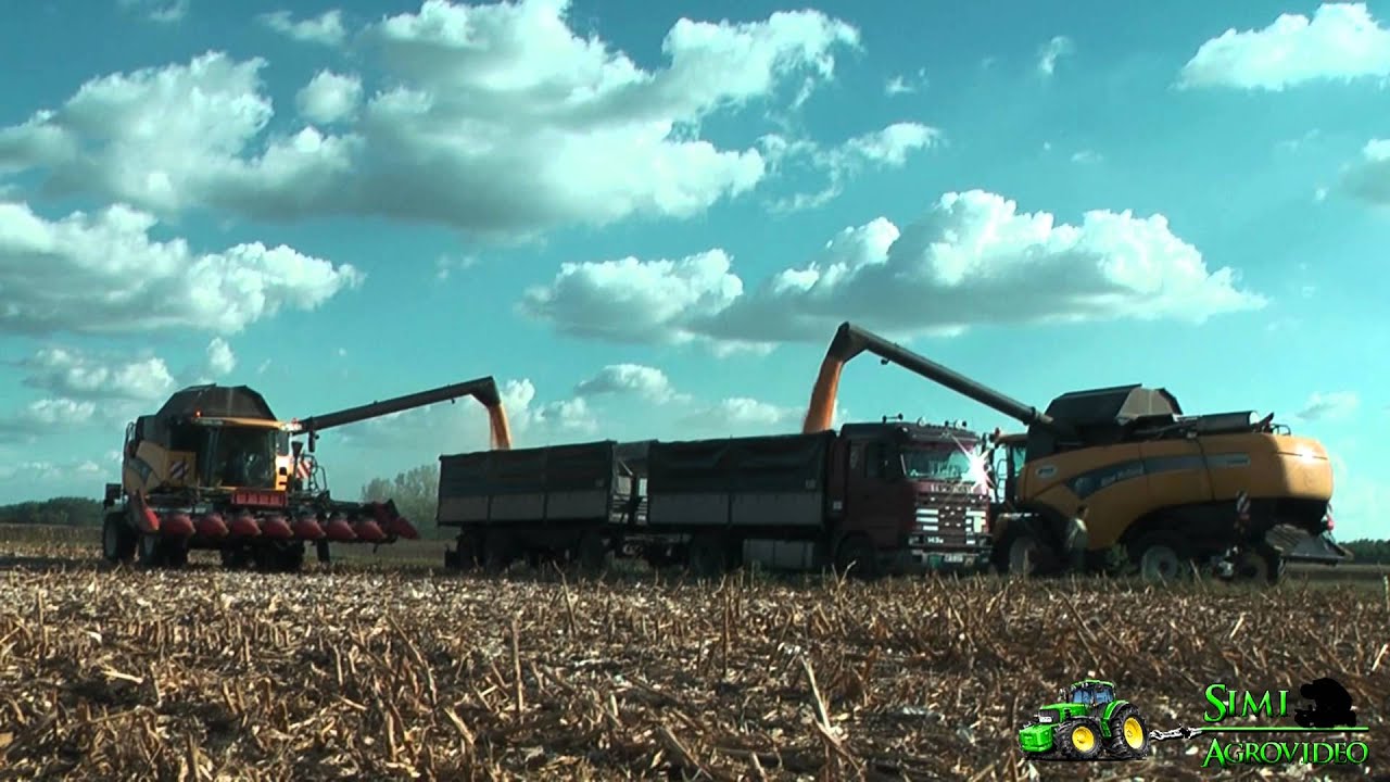 Corn Harvest 2 X New Holland CX8080 + Geringhoff Rota-Disc
