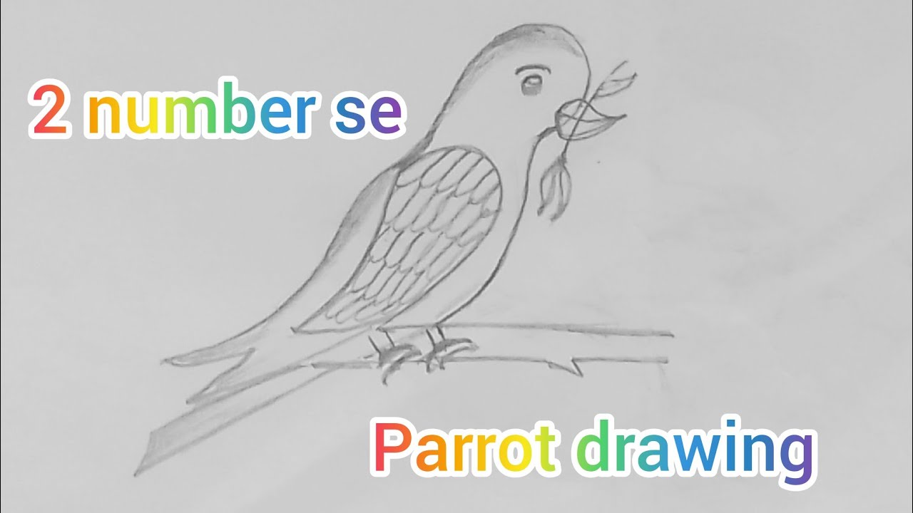 2 number se parrot banaye