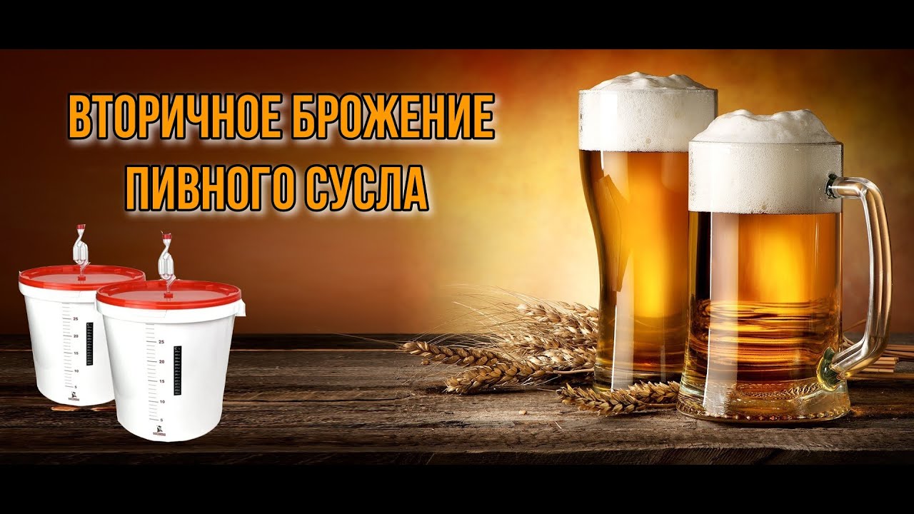 Вторичное брожение пивного сусла