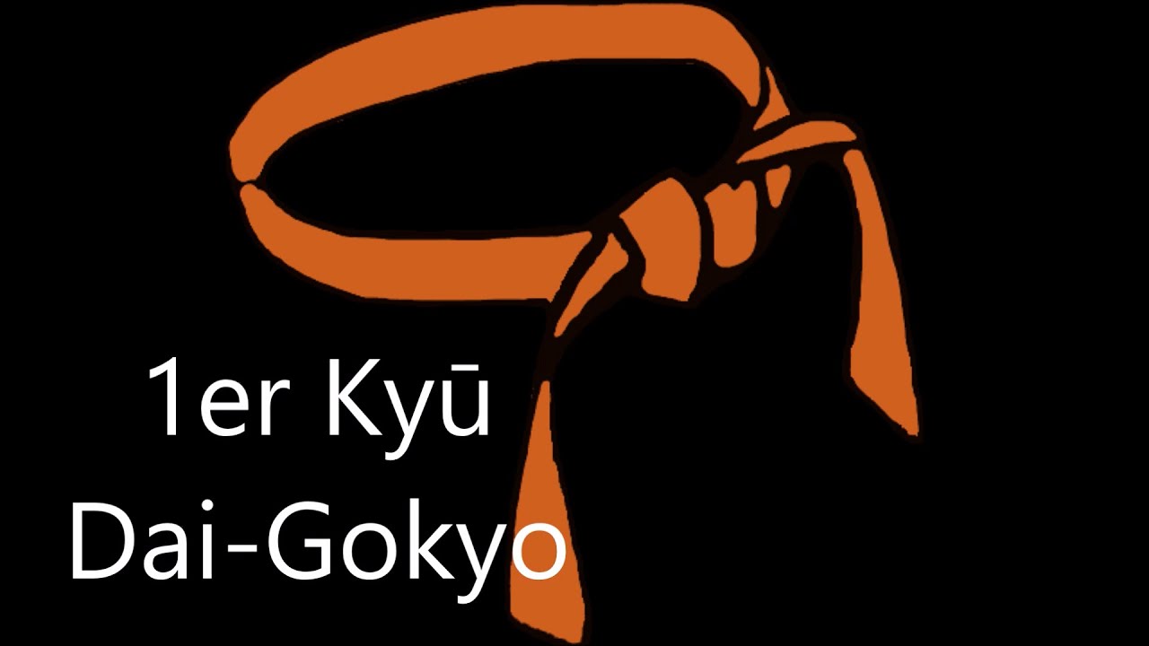 AGJ74 - GOKYO COLLECTION - 1 KYU