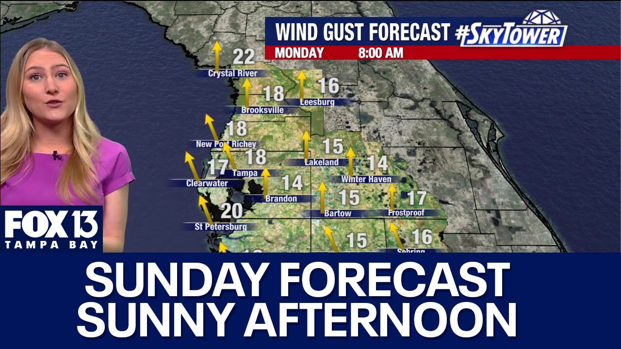 Tampa weather | Cool morning temperatures