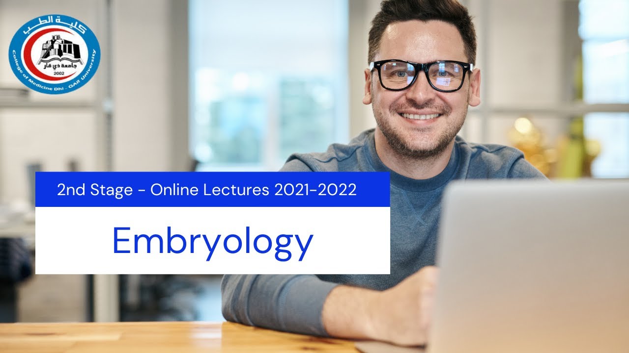 Embryology - Urinary System / د. إزدهار نصيف
