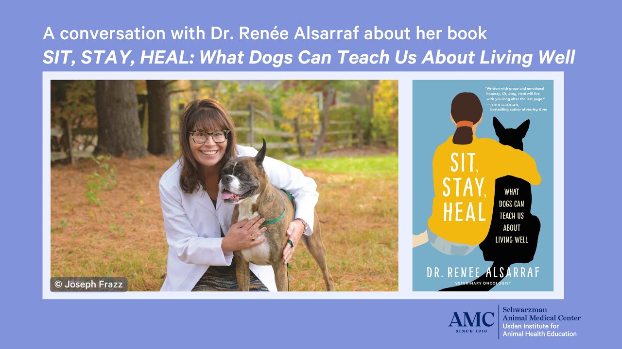 Sit, Stay, Heal: What Dogs Can Teach Us About Living Well