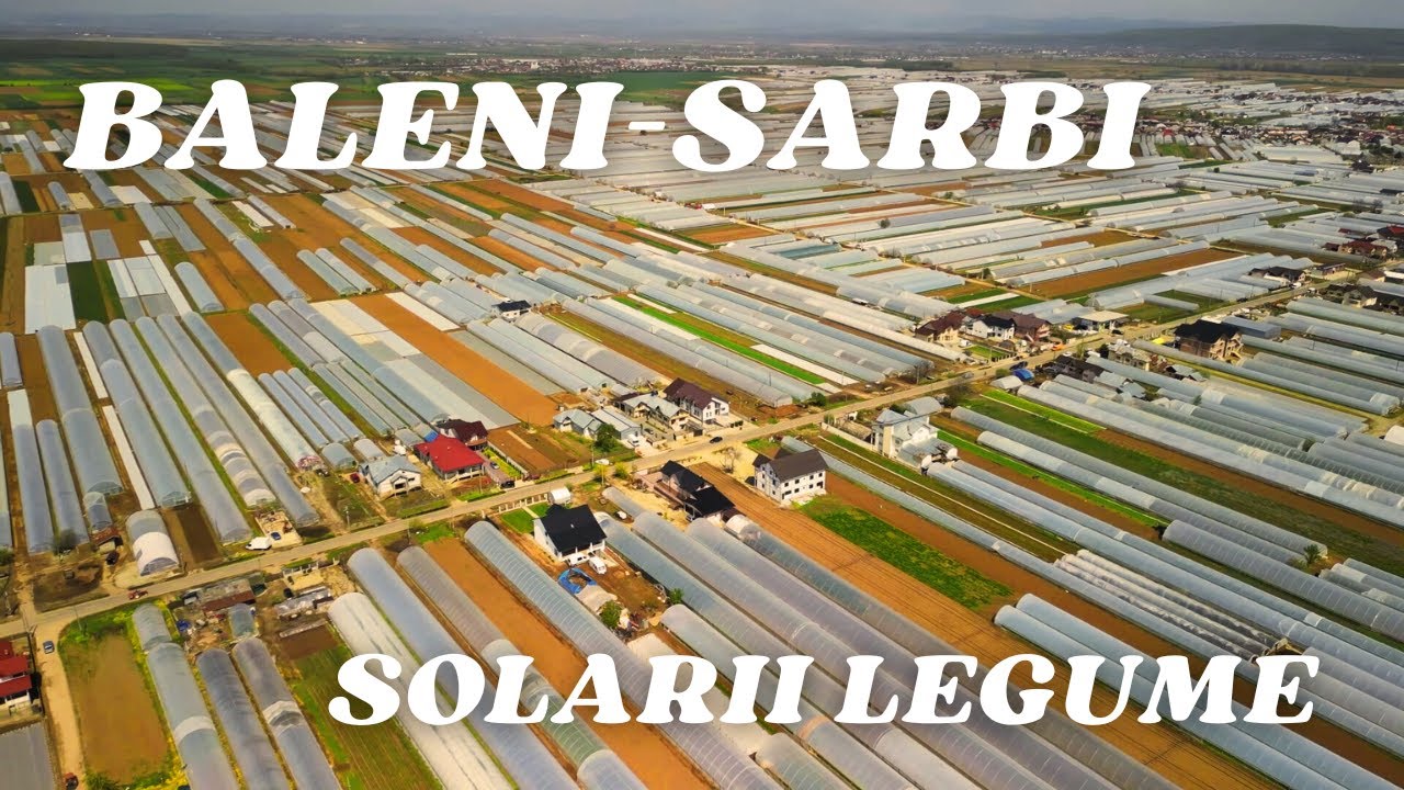 Băleni-Sârbi - Marea de sere și solarii