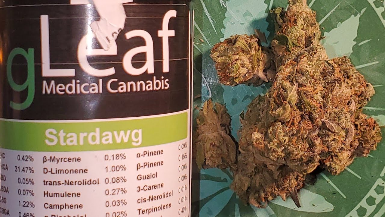 🌟  Stardawg Flower 🌼 review by Gleaf Medical Cannabis. MD