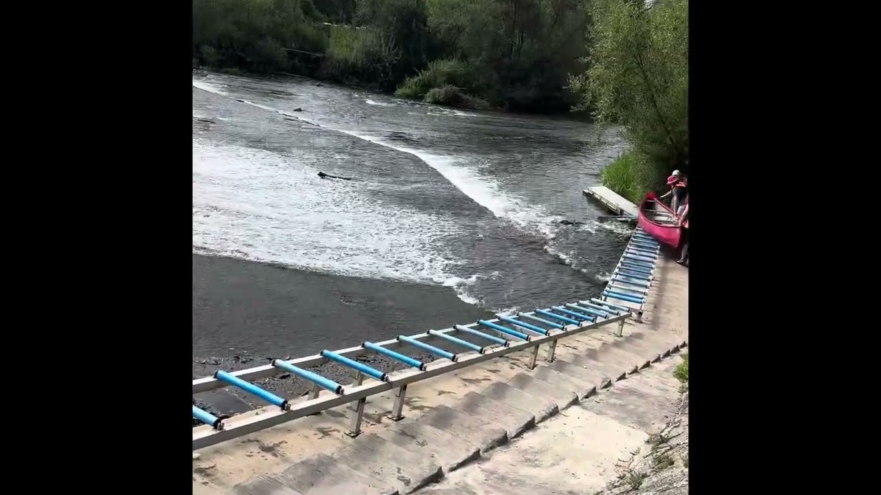 Wetzlar Lahn Dill Kreis || Hessen Deutschland |Germany | Sommer 2024