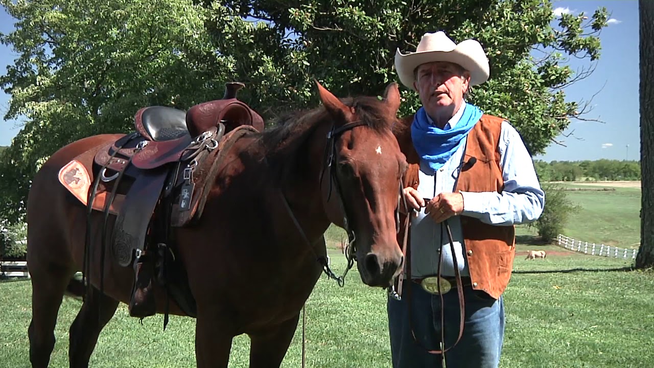 ID My Horse with Tom Seay