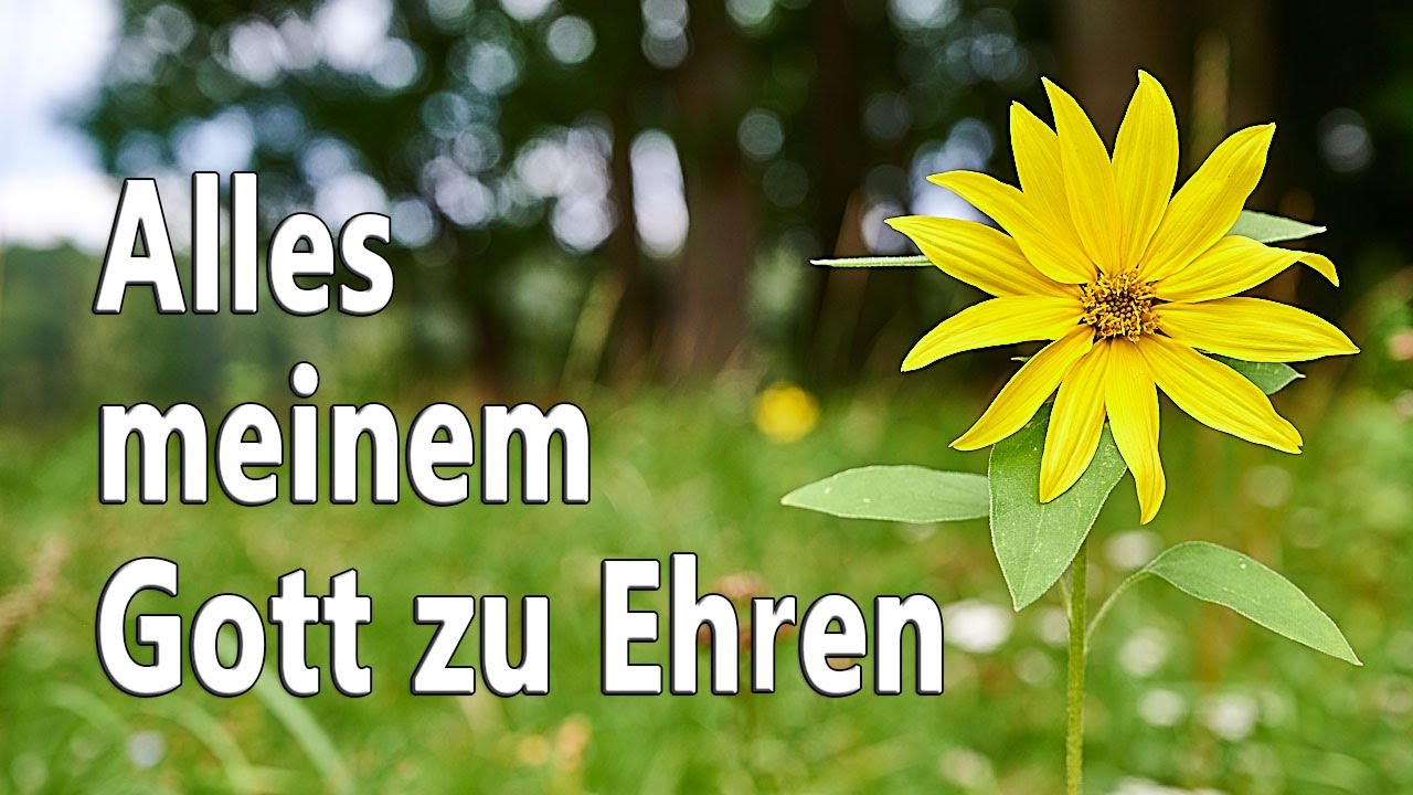 Alles meinem Gott zu Ehren (GL455) - zum Mitsingen mit Text