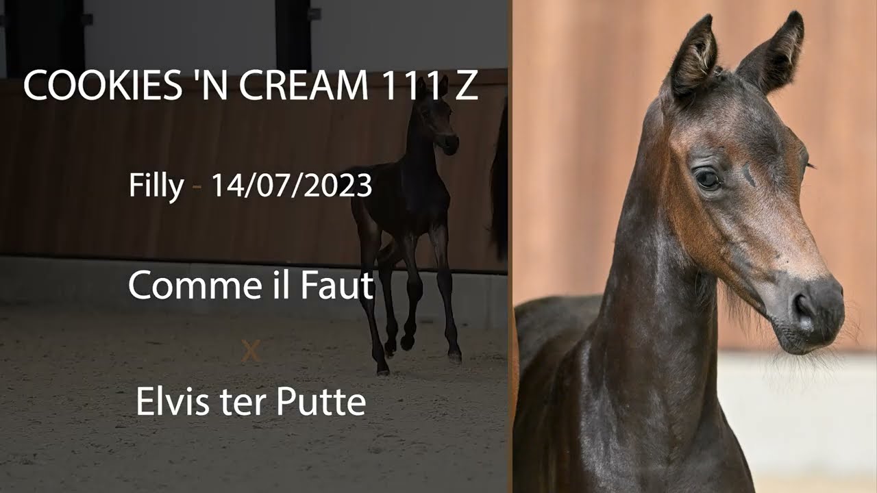 NR 2 - COOKIES 'N CREAM 111 Z (Comme Il Faut x Elvis ter Putte)