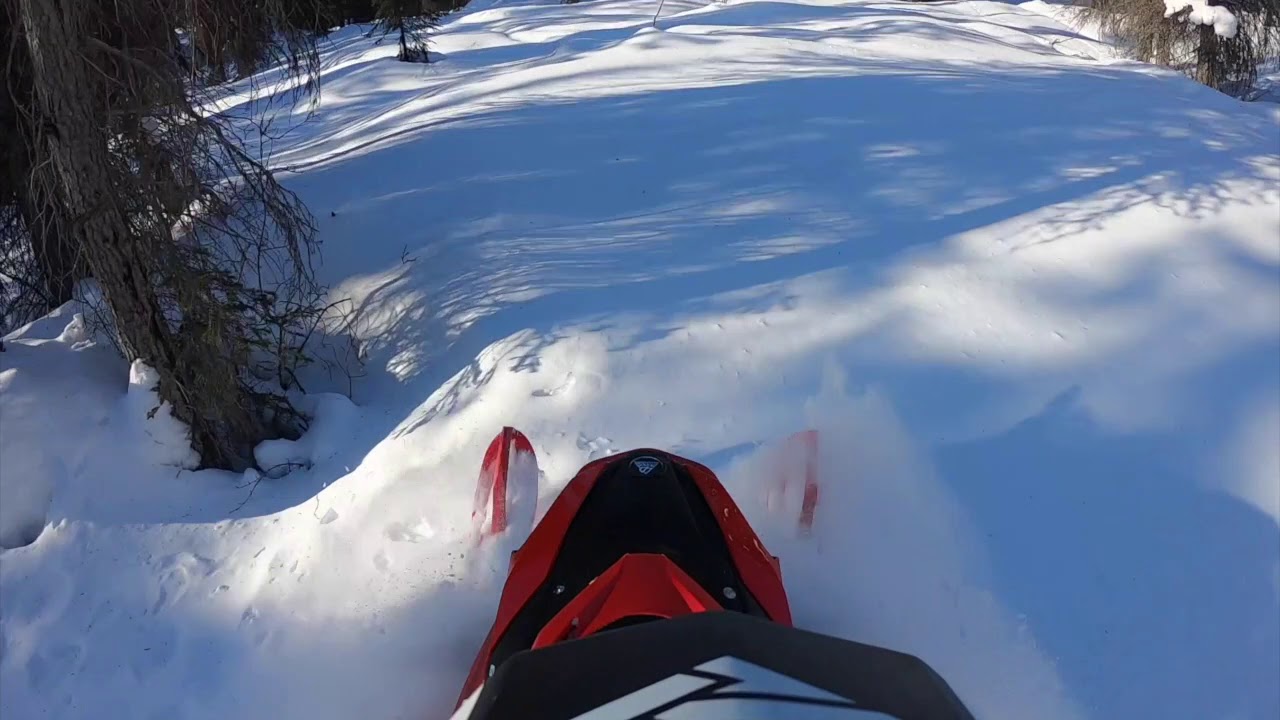 2022 Lynx 850 Boondocker 154