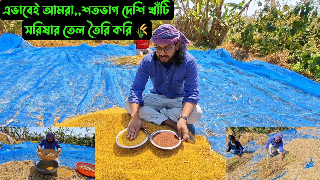 এভাবেই আমরা,,শতভাগ দেশি খাঁটি সরিষার তেল তৈরি করি 🐄
