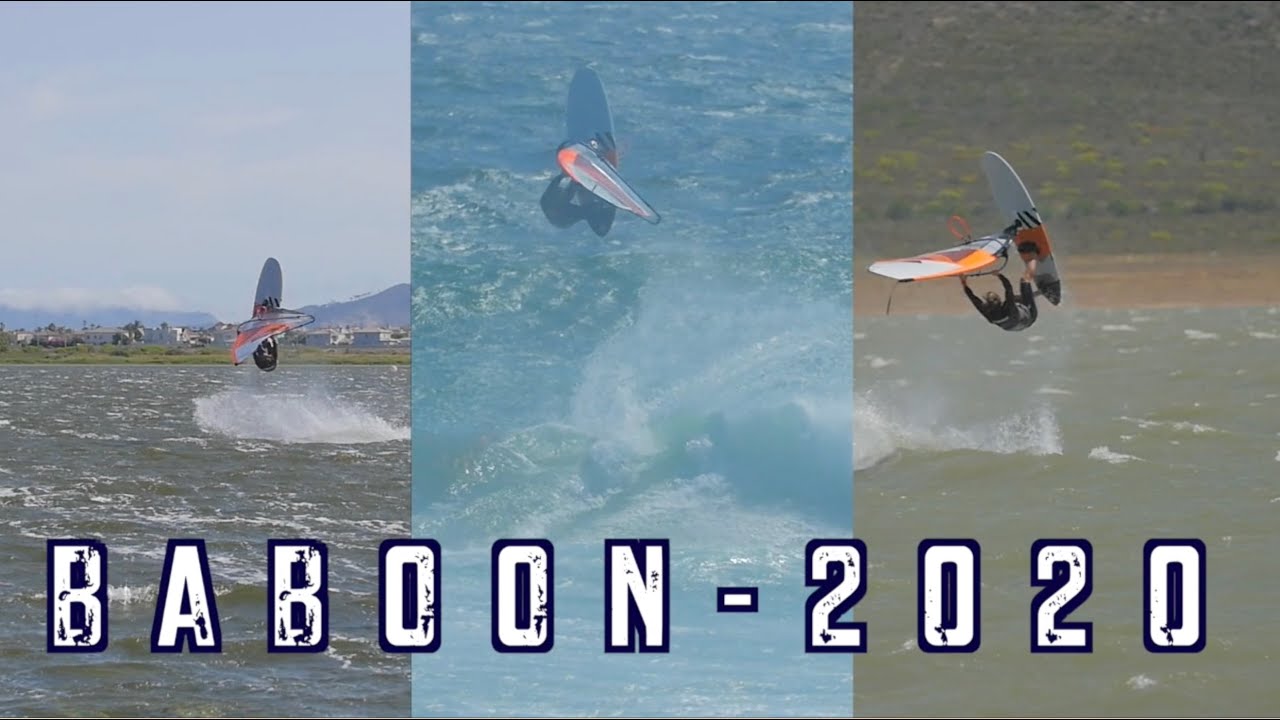 BABOON 2020-FRANCESCO CAPPUZZO SOUTH AFRICA