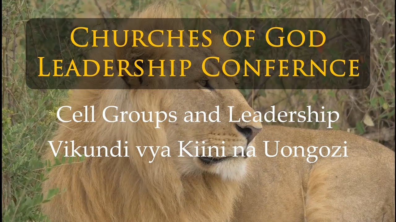 Cell Groups and Leadership