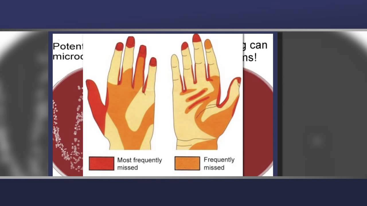 Swine Flu Prevention Tips
